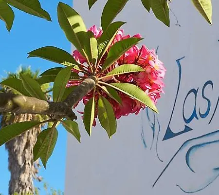 Residencial Las Alas S.l. *